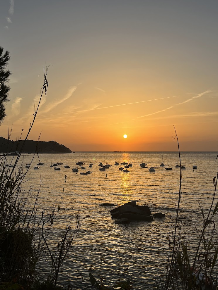 El sol sobre una cala con barcas y su reflejo en el mar.