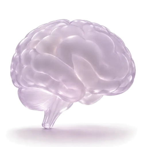 cerebro-lila-transparente cerebro-lila-transparente